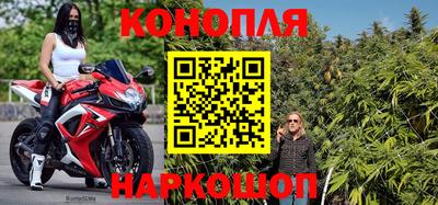 соль ск Камень-на-Оби