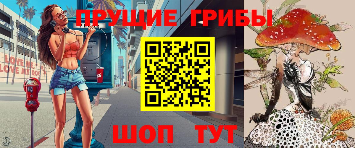 Псилоцибиновые грибы Psilocybe Острогожск