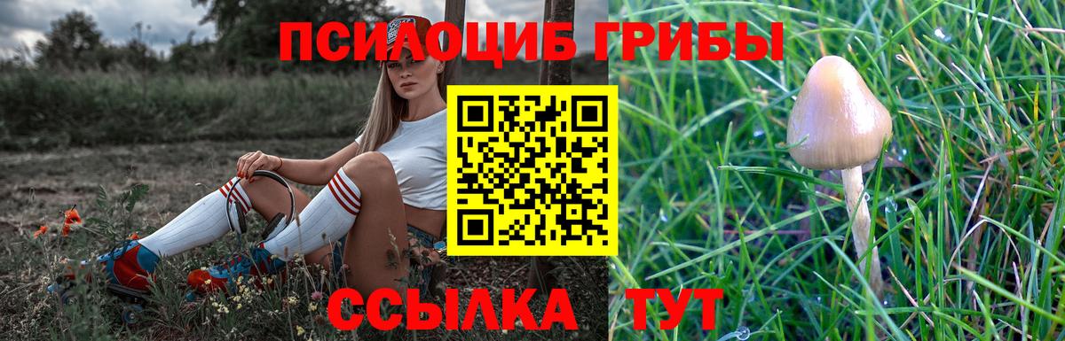Острогожск  Псилоцибиновые грибы MAGIC MUSHROOMS  Галлюциногенные грибы MAGIC MUSHROOMS  Вход с VPN 